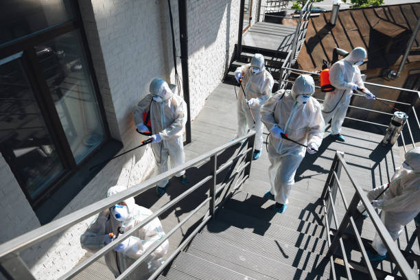 Best Black Mold Removal  in Lamont, MI