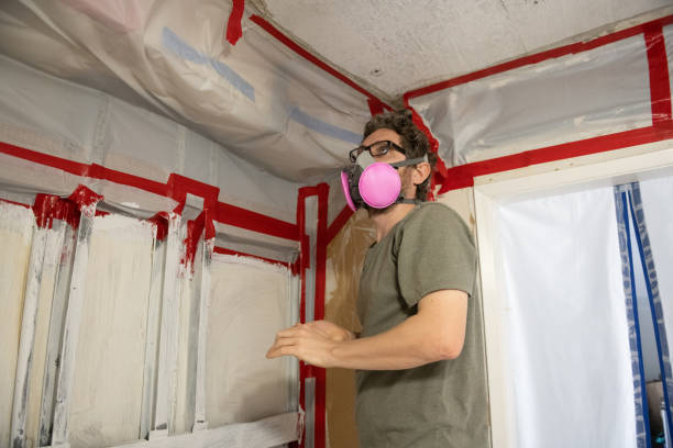 Best Post-Remediation Verification Testing  in Lamont, MI