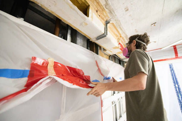 Best Environmental Consulting for Mold Prevention  in Lamont, MI