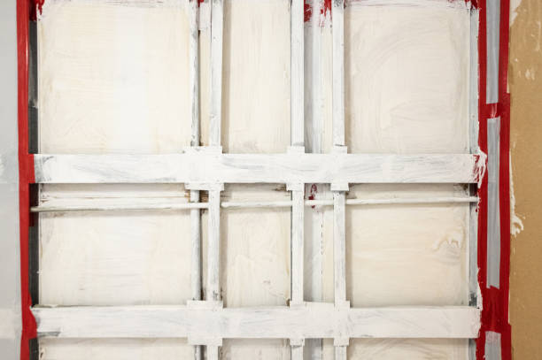 Best Real Estate Mold Inspection  in Lamont, MI