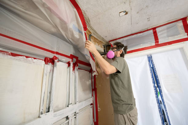 Best Mold-Related Health Consultation  in Lamont, MI
