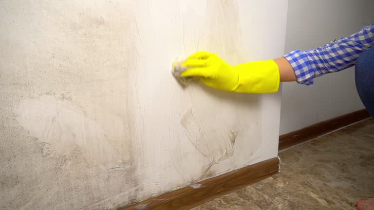 Best Commercial Mold Inspection  in Lamont, MI