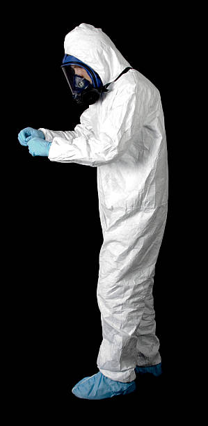 Professional Mold Removal in Lamont, MI