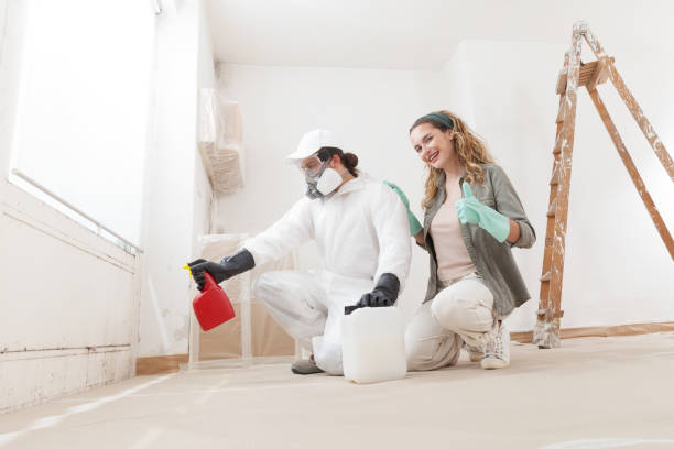 Best Basement Mold Removal  in Lamont, MI