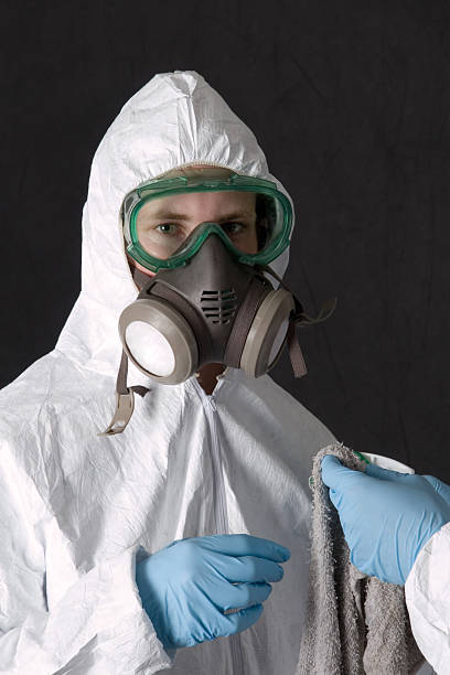 Best Mold Removal for HVAC Installations  in Lamont, MI